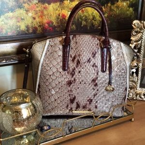 Large Brahmin Duxbury